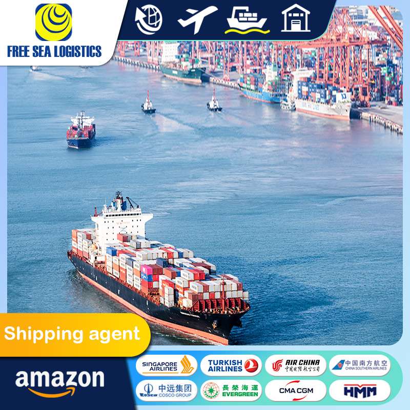 LCL Sea Freight Services From China to the UK