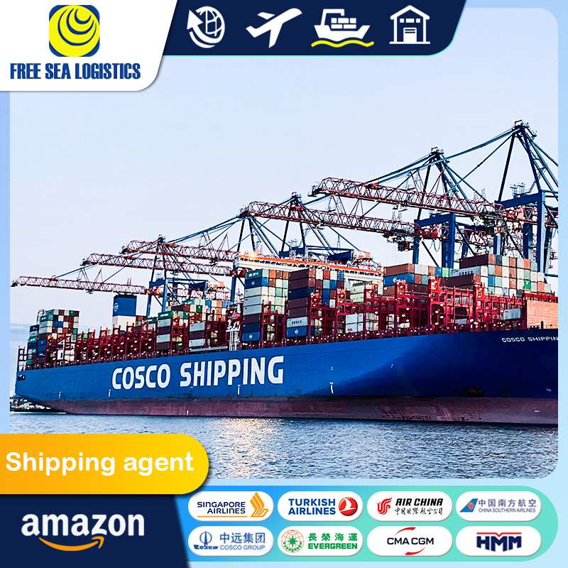 China to the United States International Freight FCL Service