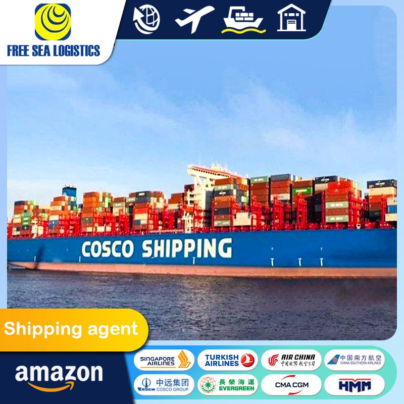 International LCL Sea Freight From China To USA