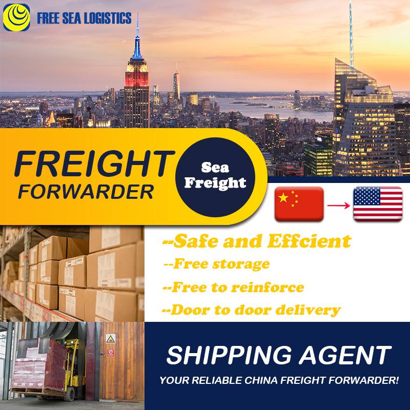 Sea Shipping Forwarder Services China to USA