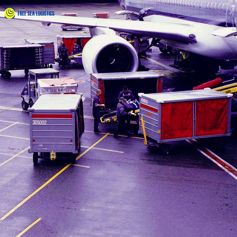 Navigate Global Logistics Effortlessly: Partner with FREE SEA Logistics for International Solutions!(pic1) Navigate Global Logistics Effortlessly: Partner with FREE SEA Logistics for International Solutions!(pic1)