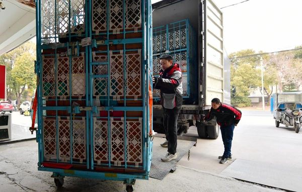 When sending international express, should you choose an international courier or a third-party international courier?(pic2)